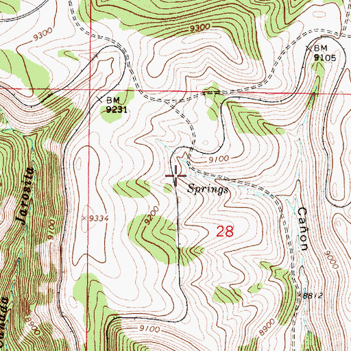 Topographic Map of Atencio Spring, NM