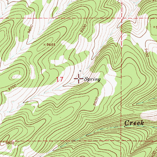 Topographic Map of Ojito Spring, NM