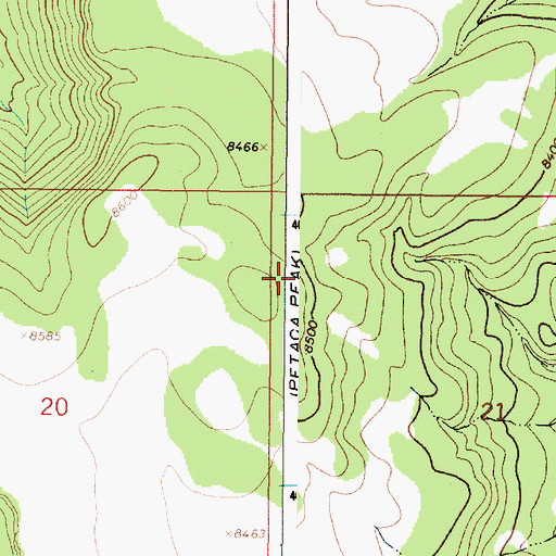 Topographic Map of Red Mesa, NM
