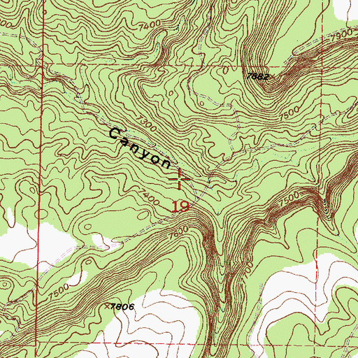 Topographic Map of Piedra Lumbre Canyon, NM