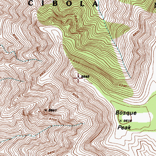 Topographic Map of North Bosque Peak, NM