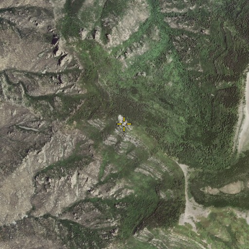 Aerial/Satellite Image of North Bosque Peak, NM