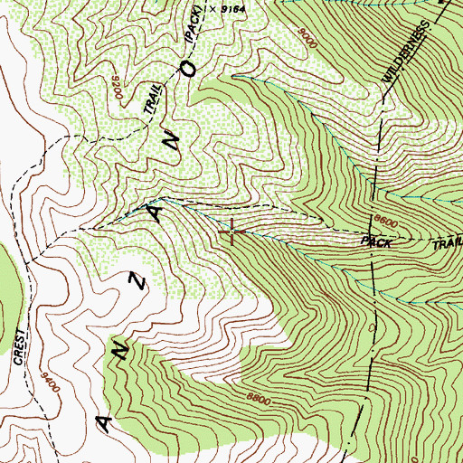 Topographic Map of Cave Spring, NM