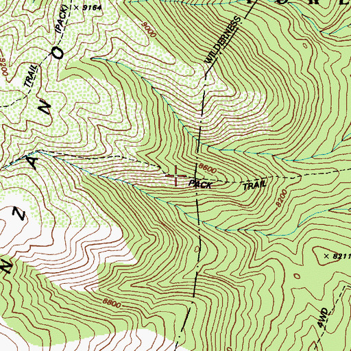 Topographic Map of Bosque Trail, NM
