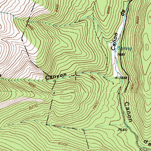 Topographic Map of Diablo Spring, NM