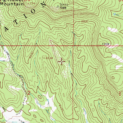 Topographic Map of East Tank, NM