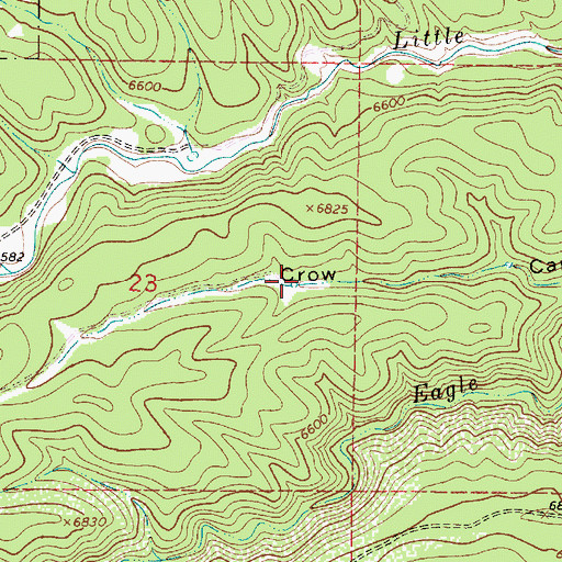 Topographic Map of Pine Tank, NM