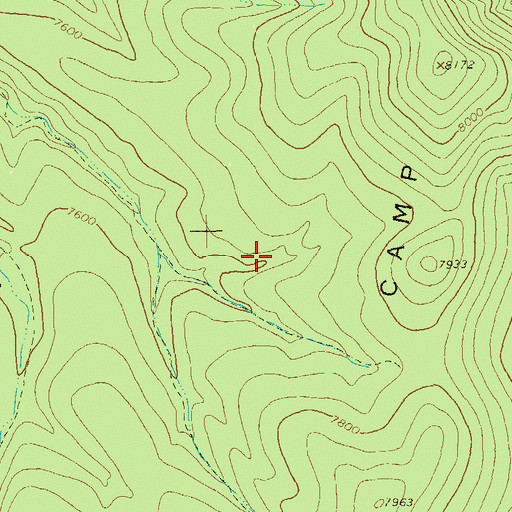 Topographic Map of Cougar Tank, NM