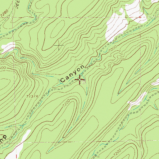 Topographic Map of Indian Tank, NM