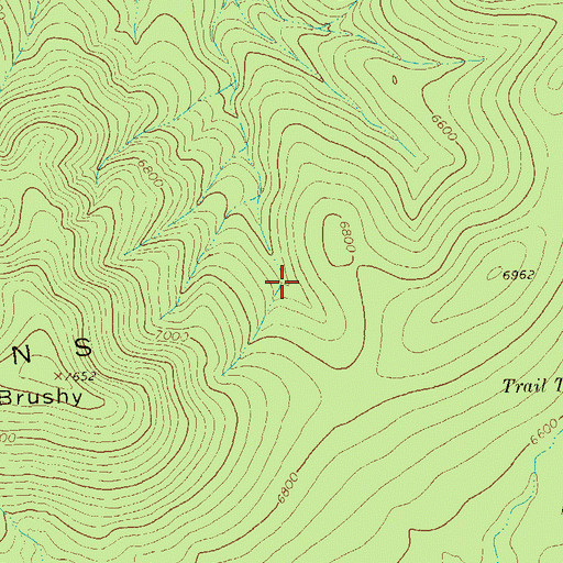 Topographic Map of Brushy Tank, NM