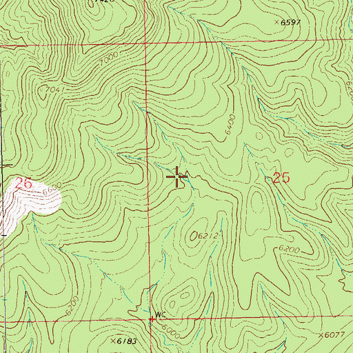 Topographic Map of Tub Spring, NM