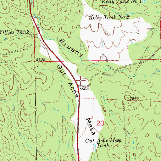 Topographic Map of Gut Ache Corral, NM