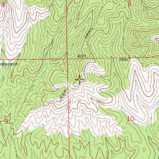 Topographic Map of Little Joe Trick Tank, NM