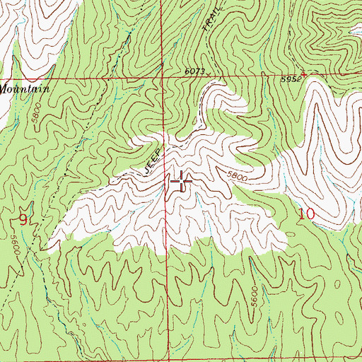 Topographic Map of Little Joe Tank, NM