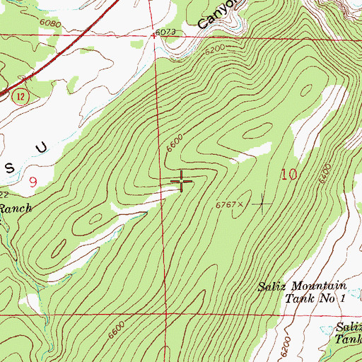 Topographic Map of Wee Tank, NM