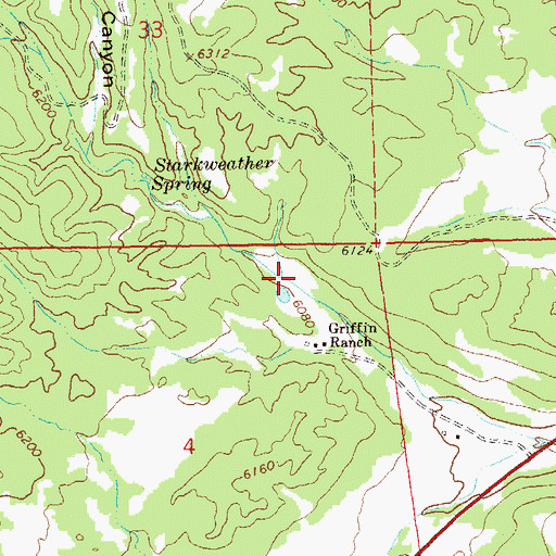 Topographic Map of Griffen Spring, NM
