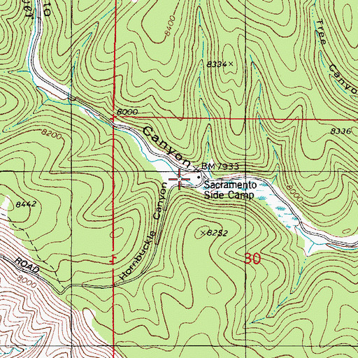 Topographic Map of Hornbuckle Canyon, NM