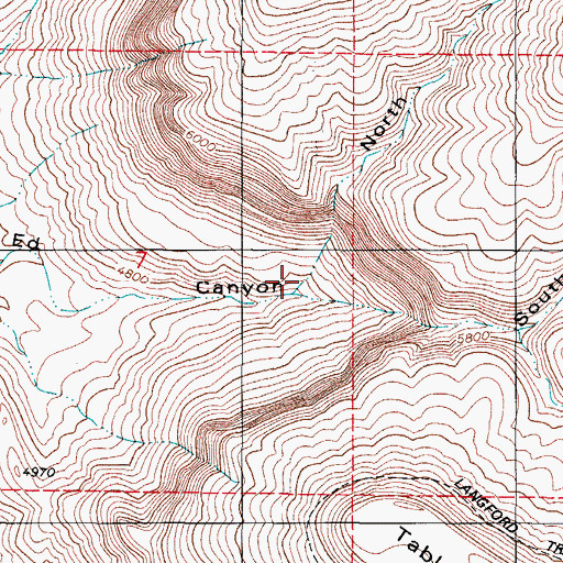 Topographic Map of North Fork Negro Ed Canyon, NM