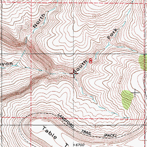 Topographic Map of South Fork Negro Ed Canyon, NM