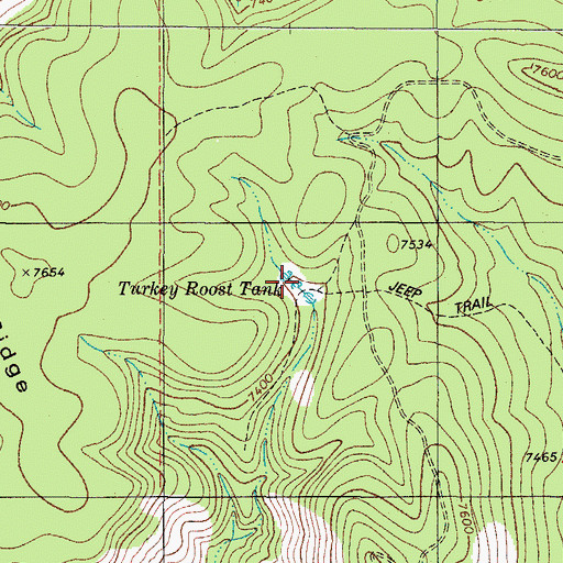 Topographic Map of Turkey Roost Tank, NM