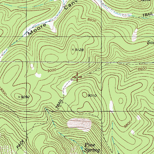 Topographic Map of Pine Spring, NM