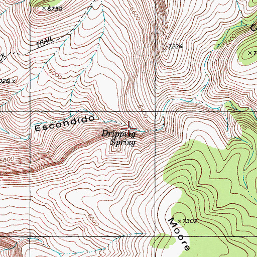 Topographic Map of Dripping Spring, NM
