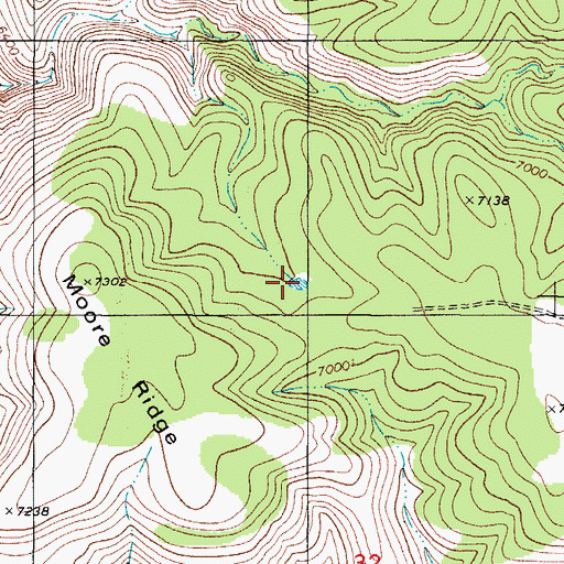Topographic Map of Moore Tank, NM