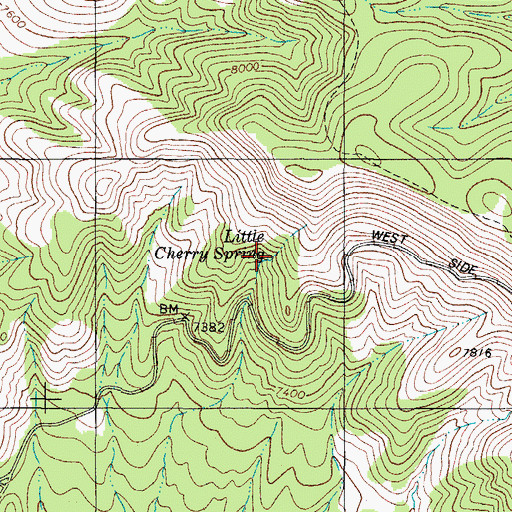 Topographic Map of Little Cherry Spring, NM