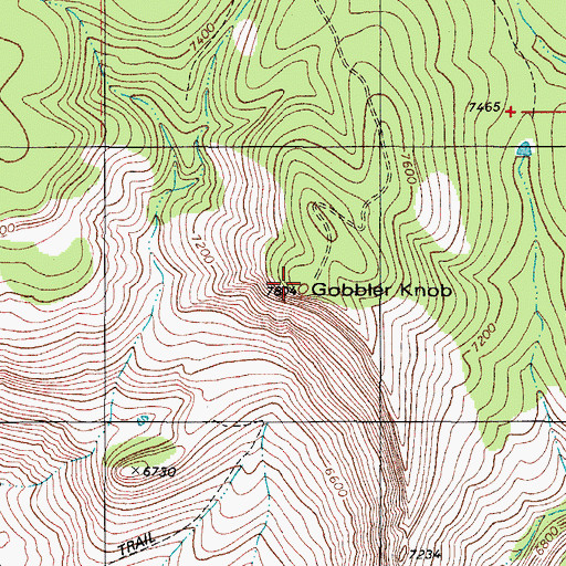 Topographic Map of Gobbler Knob, NM