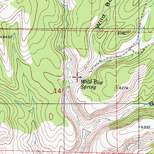 Topographic Map of Wild Boy Spring, NM