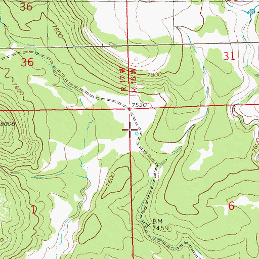 Topographic Map of Orono Spring, NM