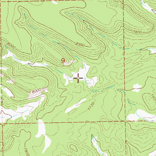 Topographic Map of Draw Tank, NM