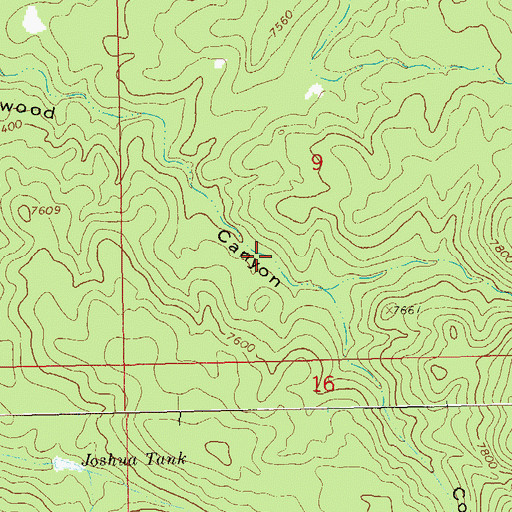 Topographic Map of Lower Cottonwood Tank, NM