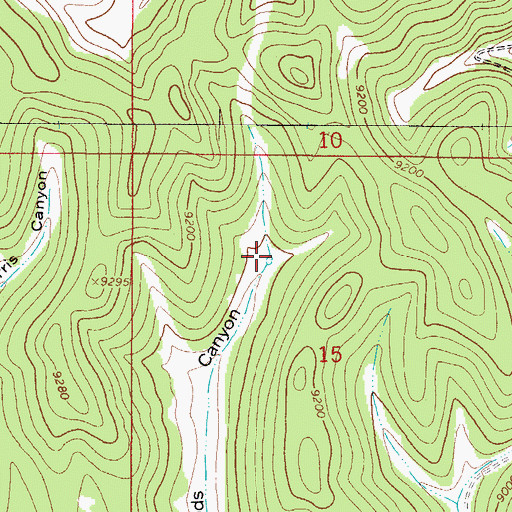 Topographic Map of Wood Tank, NM