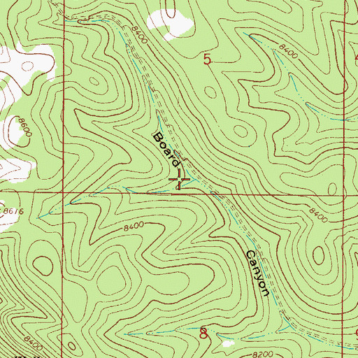 Topographic Map of Board Tank, NM