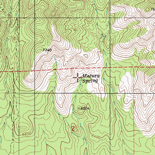Topographic Map of Matney Spring, NM