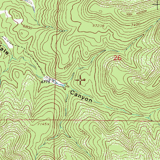 Topographic Map of Hale Canyon Tank, NM