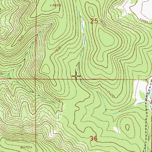 Topographic Map of Pine Tank, NM