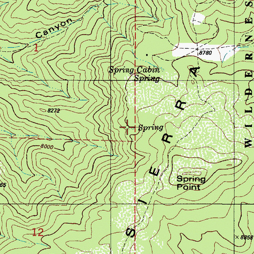 Topographic Map of Spring Canyon Spring, NM