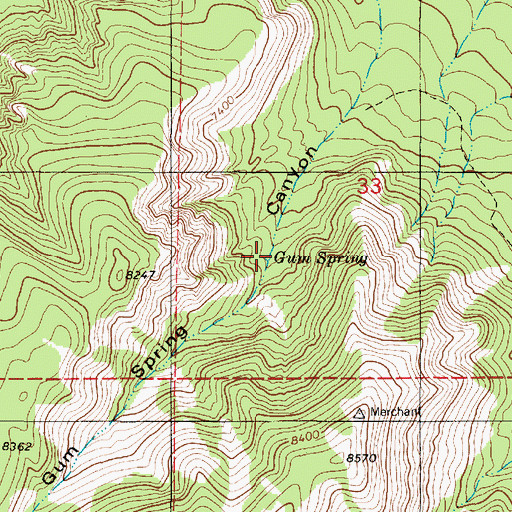 Topographic Map of Gum Spring, NM