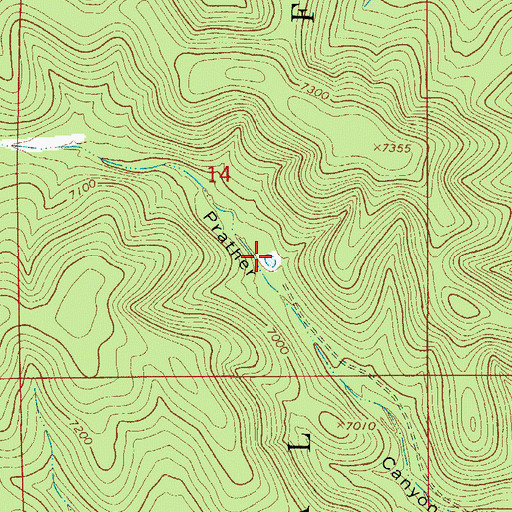Topographic Map of Little Tank, NM