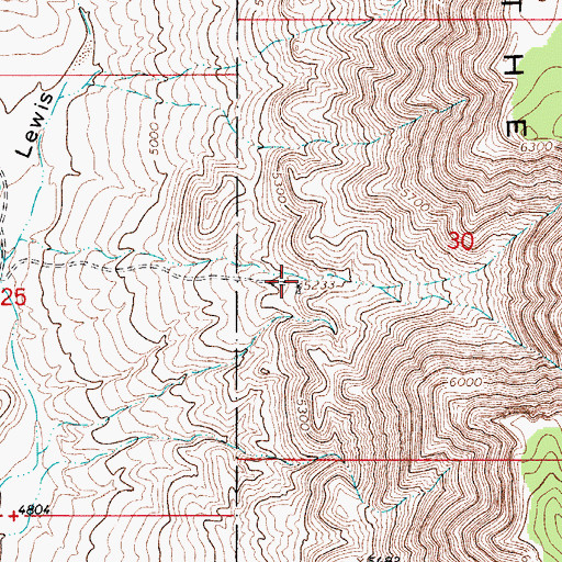 Topographic Map of South Well, NM