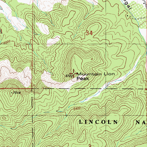 Topographic Map of Mountain Lion Peak, NM