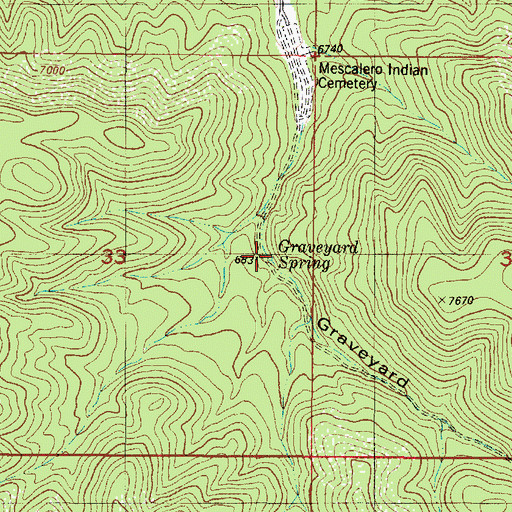 Topographic Map of Graveyard Spring, NM