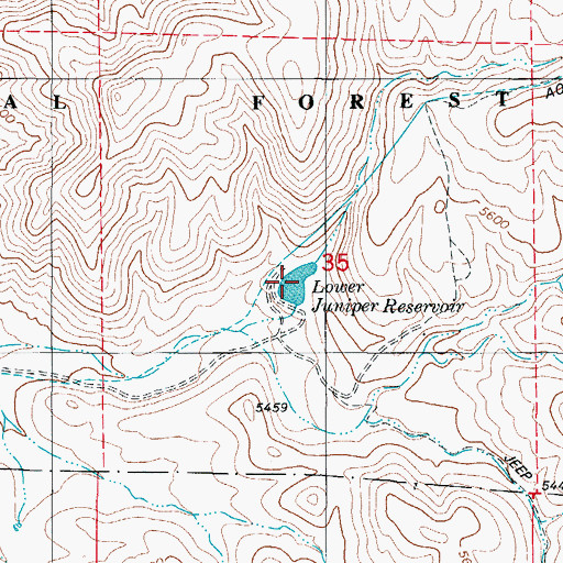 Topographic Map of Lower Juniper Reservoir, NM