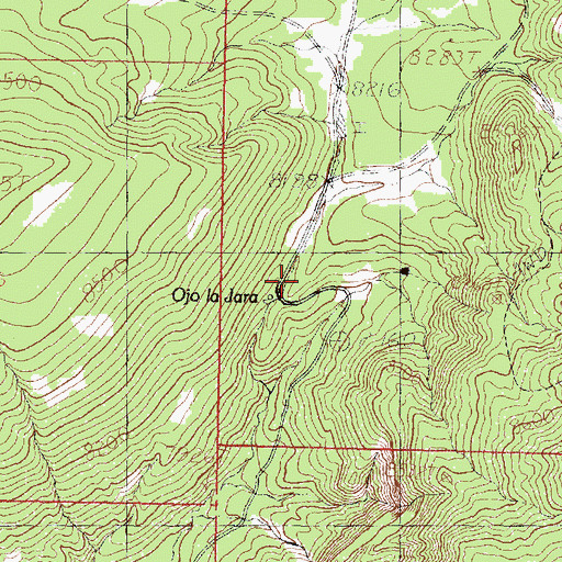 Topographic Map of Junior Tank, NM