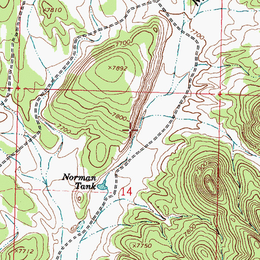 Topographic Map of Norman Spring, NM