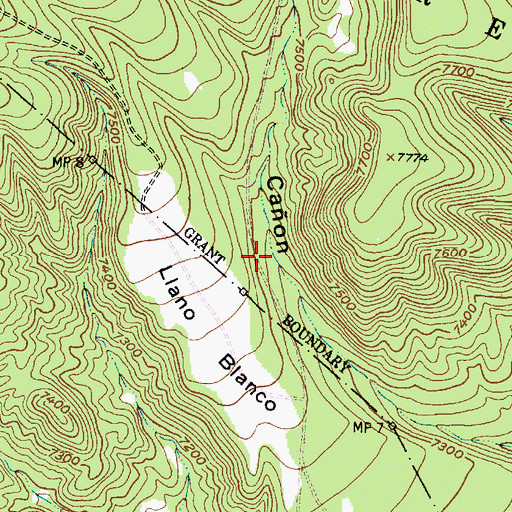 Topographic Map of Madera Tank, NM