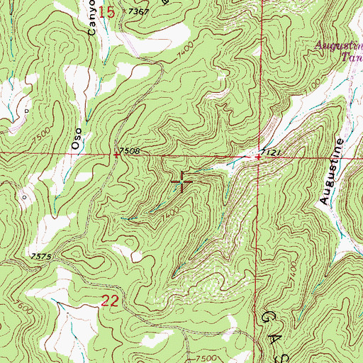 Topographic Map of San Juan Basin, NM