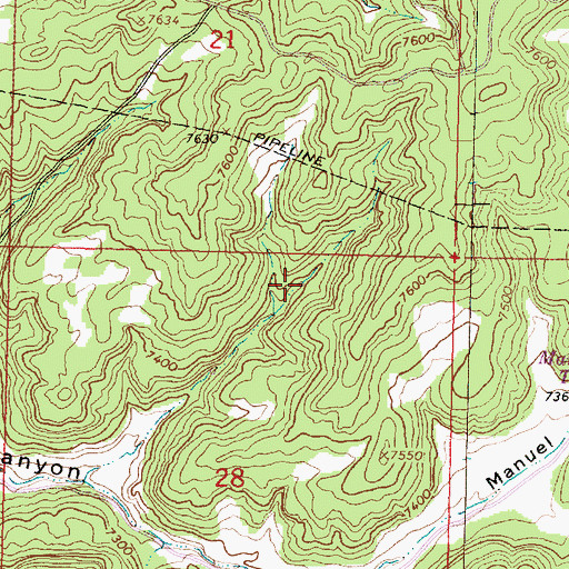 Topographic Map of Two Trough Spring, NM